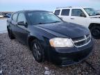 DODGE - AVENGER