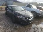 NISSAN - MAXIMA