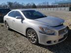 NISSAN - MAXIMA