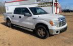 FORD - F-150