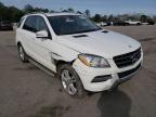 MERCEDES-BENZ - M-CLASS