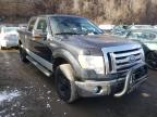 FORD - F-150