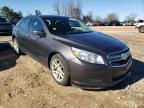 CHEVROLET - MALIBU