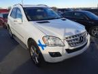 MERCEDES-BENZ - M-CLASS