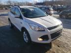 FORD - ESCAPE