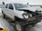 TOYOTA - TACOMA