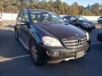 MERCEDES-BENZ - M-CLASS