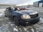 DODGE - AVENGER