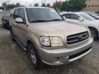 TOYOTA - SEQUOIA