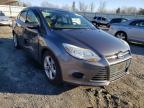 FORD - FOCUS