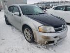 DODGE - AVENGER