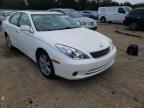 LEXUS - ES330