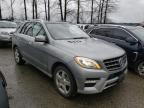 MERCEDES-BENZ - M-CLASS