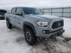 TOYOTA - TACOMA