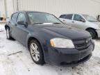 DODGE - AVENGER