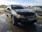 LEXUS - ES350