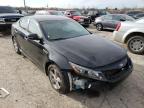 KIA - OPTIMA