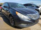 HYUNDAI - SONATA