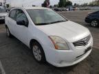 NISSAN - SENTRA