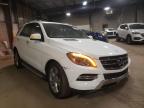 MERCEDES-BENZ - M-CLASS