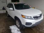 KIA - SORENTO