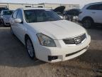 NISSAN - MAXIMA
