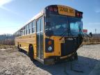 usados BLUEBIRD SCHOOL BUS