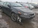 KIA - OPTIMA