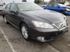 LEXUS - ES350