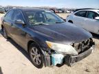 TOYOTA - CAMRY