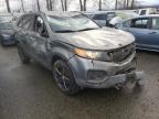 KIA - SORENTO