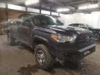 TOYOTA - TACOMA