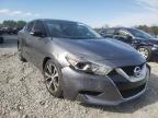 NISSAN - MAXIMA