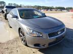 NISSAN - MAXIMA