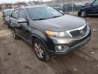 KIA - SORENTO