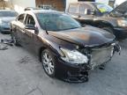 NISSAN - MAXIMA