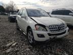MERCEDES-BENZ - M-CLASS