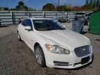 JAGUAR - XF