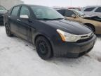 FORD - FOCUS