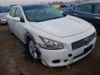 NISSAN - MAXIMA