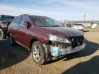 LEXUS - RX350