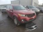 KIA - SORENTO