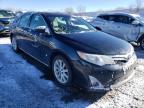 TOYOTA - CAMRY