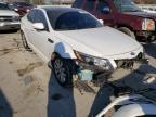 KIA - OPTIMA