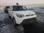 KIA - SOUL