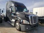 FREIGHTLINER - CASCADIA 1