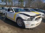 FORD - MUSTANG