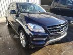 MERCEDES-BENZ - M-CLASS