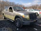 FORD - F-150