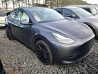 TESLA - MODEL Y